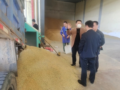 湘潭县2022年中晚稻收购工作稳步推进